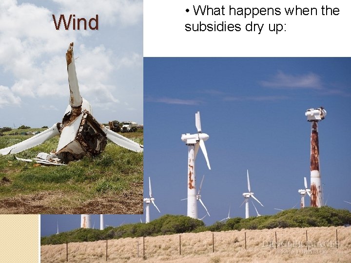 Wind • What happens when the subsidies dry up: -49 - 