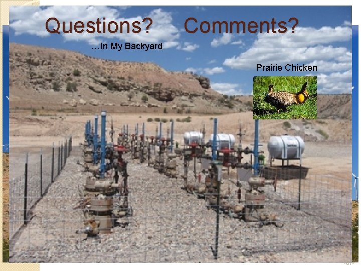 Questions? Comments? …In My Backyard Prairie Chickens -61 - 