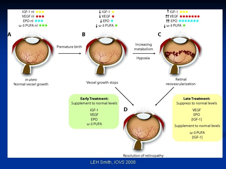 LEH Smith, IOVS 2008 