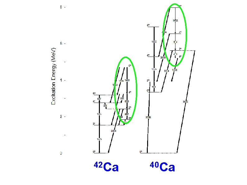 42 Ca 40 Ca 