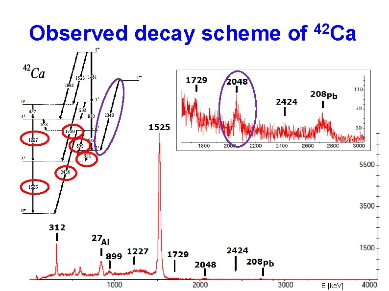 Observed decay scheme of 42 Ca E [ke. V] 