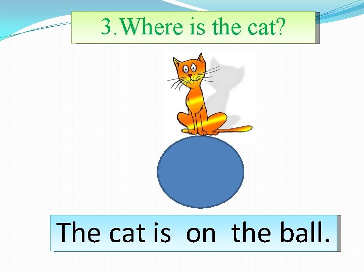 3. Where is the cat? The cat is on the ball. 