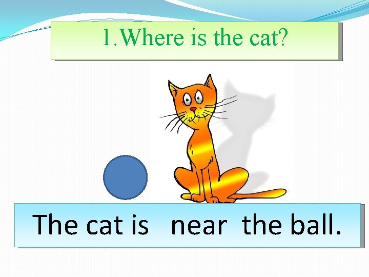 1. Where is the cat? The cat is near the ball. 