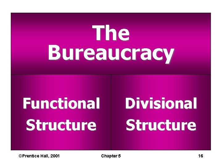 The Bureaucracy Functional Structure ©Prentice Hall, 2001 Divisional Structure Chapter 5 16 