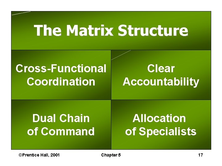 The Matrix Structure Cross-Functional Coordination Clear Accountability Dual Chain of Command Allocation of Specialists