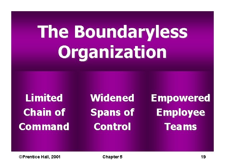 The Boundaryless Organization Limited Chain of Command ©Prentice Hall, 2001 Widened Spans of Control