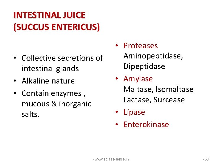 INTESTINAL JUICE (SUCCUS ENTERICUS) • Collective secretions of intestinal glands • Alkaline nature •