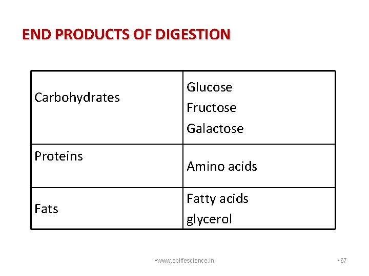 END PRODUCTS OF DIGESTION Carbohydrates Proteins Fats Glucose Fructose Galactose Amino acids Fatty acids