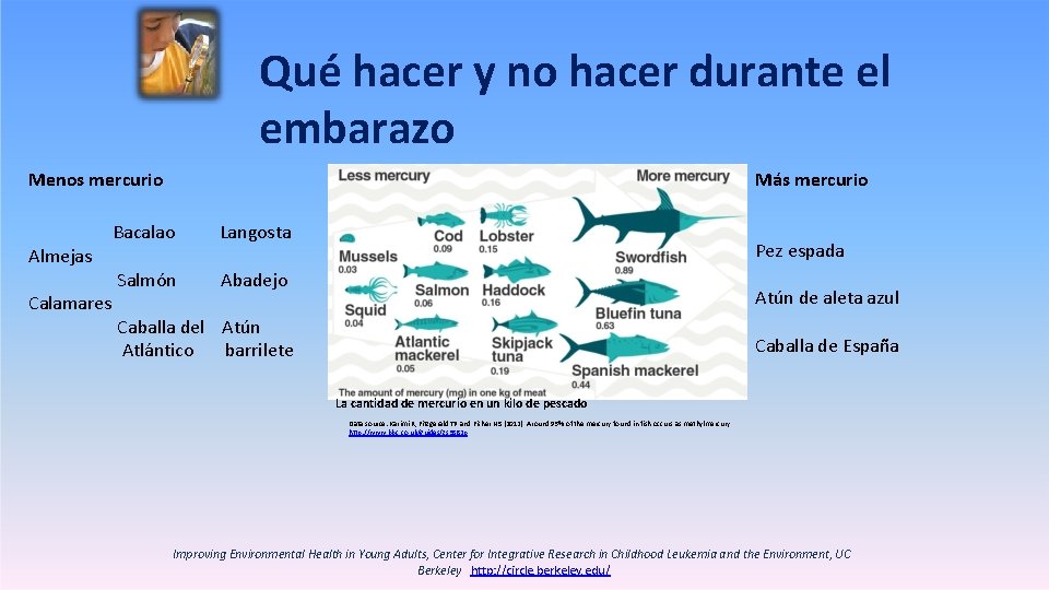 Qué hacer y no hacer durante el embarazo Menos mercurio Almejas Calamares Más mercurio