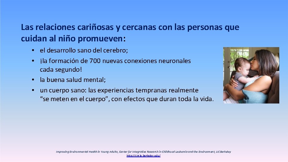 Las relaciones cariñosas y cercanas con las personas que cuidan al niño promueven: •