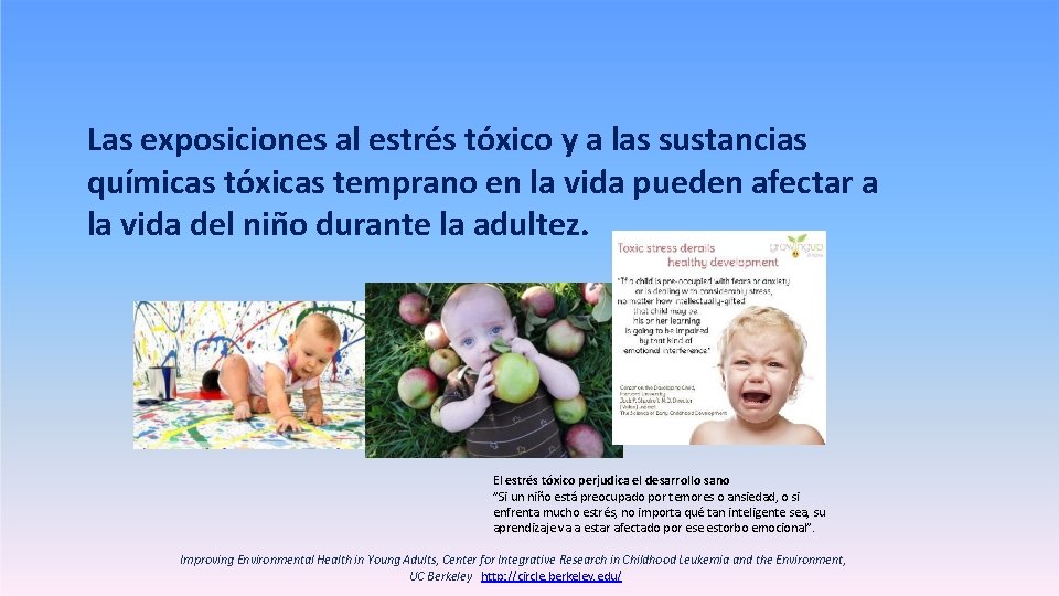 Las exposiciones al estrés tóxico y a las sustancias químicas tóxicas temprano en la