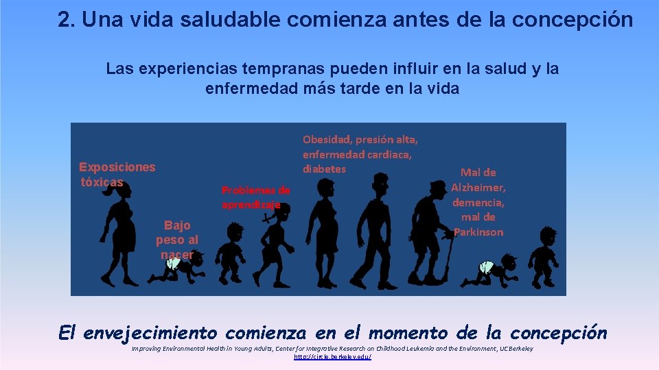 2. Una vida saludable comienza antes de la concepción Las experiencias tempranas pueden influir