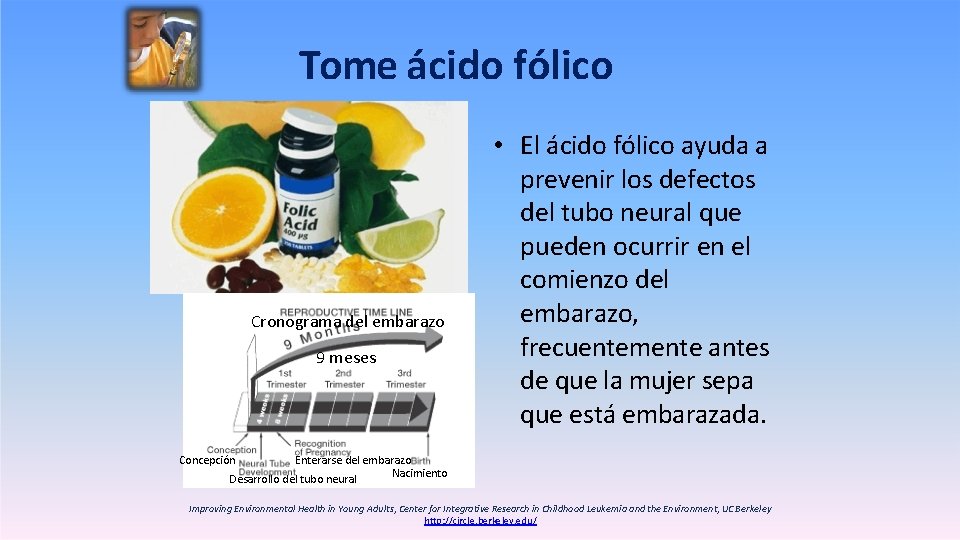 Tome ácido fólico Cronograma del embarazo 9 meses • El ácido fólico ayuda a