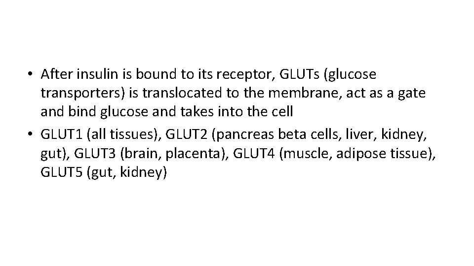  • After insulin is bound to its receptor, GLUTs (glucose transporters) is translocated
