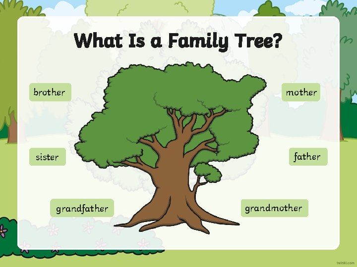 What Is a Family Tree? brother sister grandfather mother father grandmother 