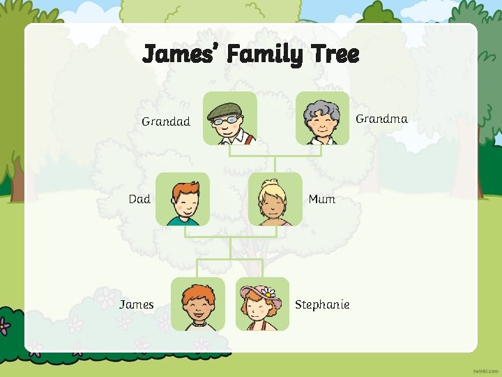 James’ Family Tree Grandma Grandad Dad Mum James Stephanie 