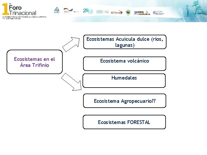 Ecosistemas Acuicula dulce (ríos, lagunas) Ecosistemas en el Área Trifinio Ecosistema volcánico Humedales Ecosistema