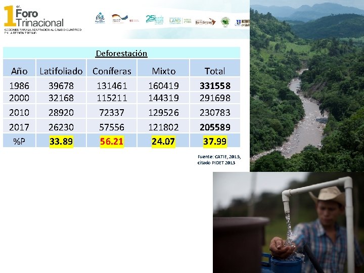 Deforestación Año 1986 2000 2017 %P Latifoliado Coníferas 39678 131461 32168 115211 28920 72337