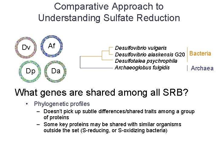 Comparative Approach to Understanding Sulfate Reduction Dv Dp Af Da Desulfovibrio vulgaris Desulfovibrio alaskensis