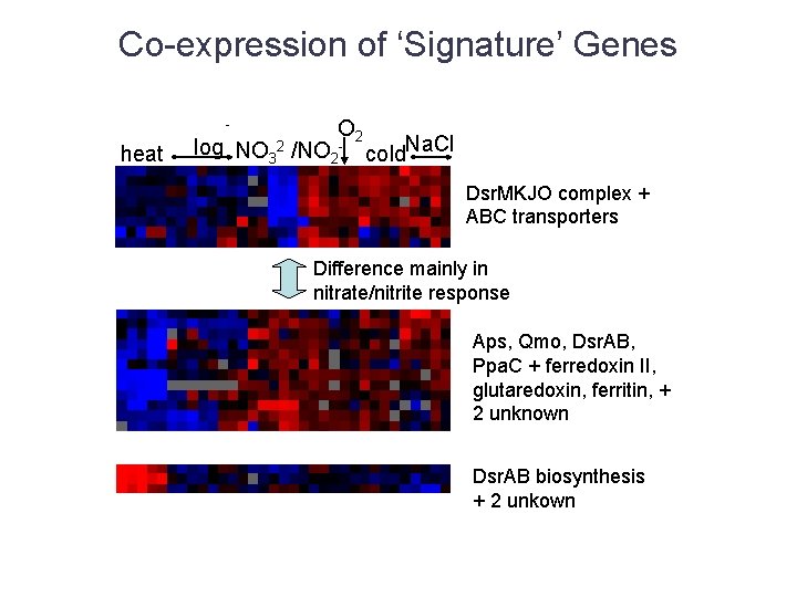 Co-expression of ‘Signature’ Genes - heat O 2 log NO 32 /NO 2 -