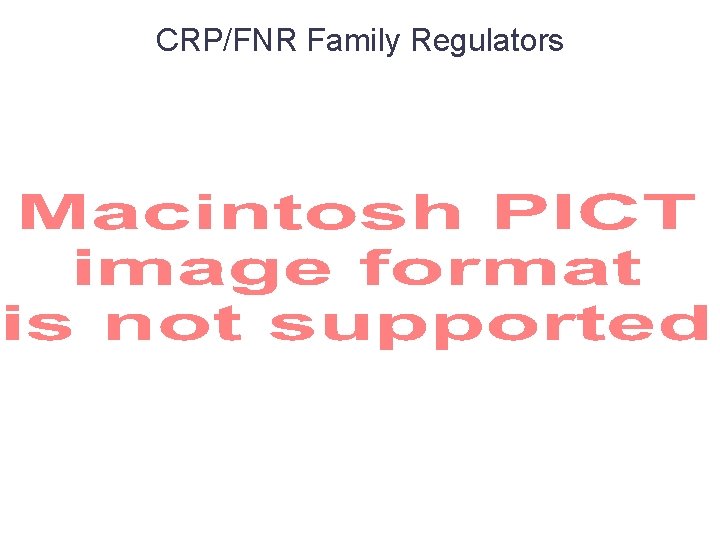 CRP/FNR Family Regulators 