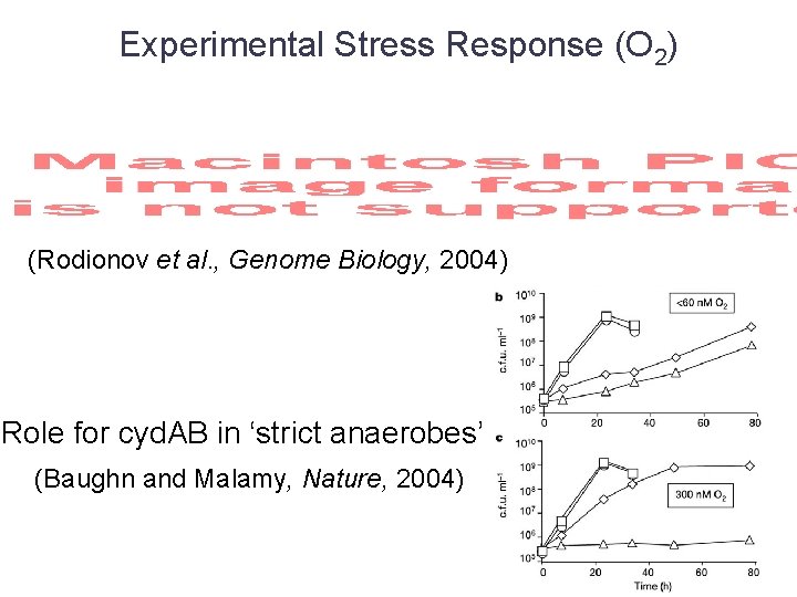 Experimental Stress Response (O 2) (Rodionov et al. , Genome Biology, 2004) Role for