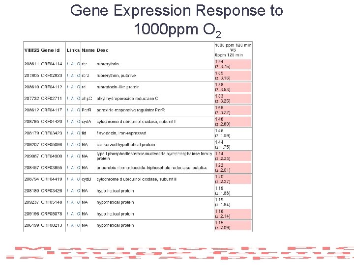 Gene Expression Response to 1000 ppm O 2 