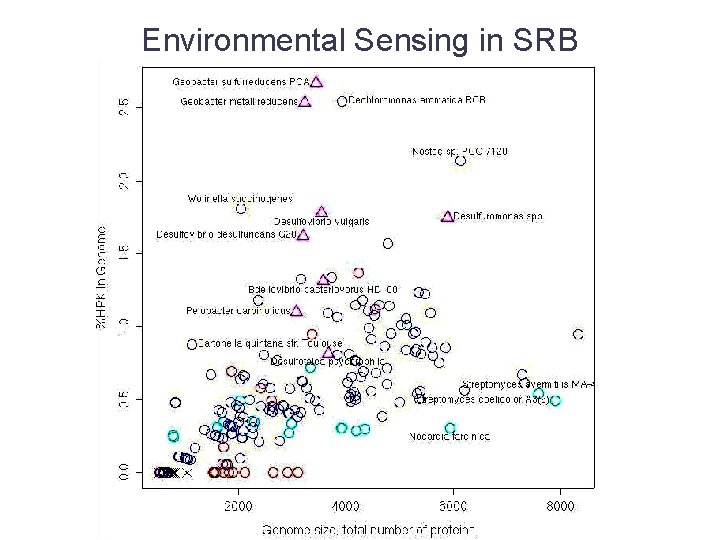 Environmental Sensing in SRB 