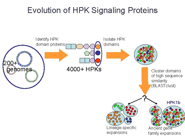Evolution of HPK Signaling Proteins Identify HPK domain proteins 200+ genomes Isolate HPK domains