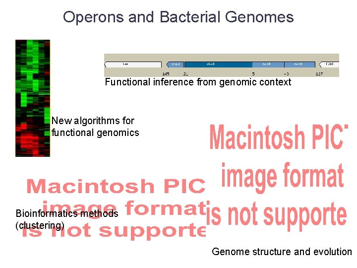 Operons and Bacterial Genomes Functional inference from genomic context New algorithms for functional genomics
