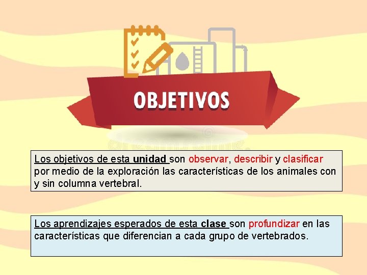 Los objetivos de esta unidad son observar, describir y clasificar por medio de la