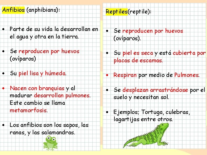 Anfibios (anphibians): Reptiles(reptile): Parte de su vida la desarrollan en el agua y otra