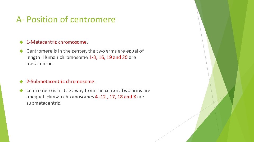 A- Position of centromere 1 -Metacentric chromosome. Centromere is in the center, the two