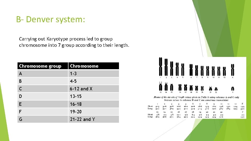 B- Denver system: Carrying out Karyotype process led to group chromosome into 7 group