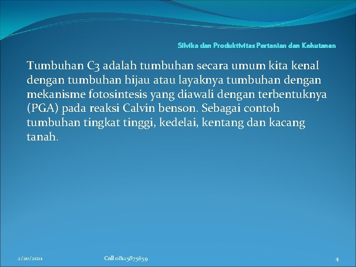 Silvika dan Produktivitas Pertanian dan Kehutanan Tumbuhan C 3 adalah tumbuhan secara umum kita