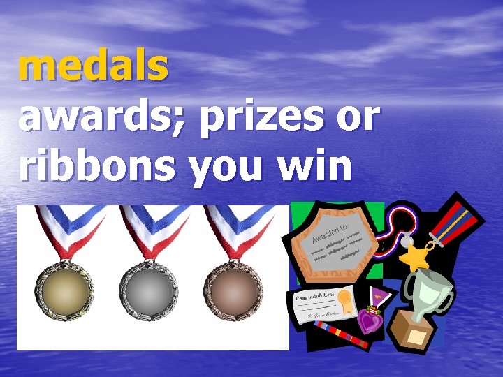 medals awards; prizes or ribbons you win 