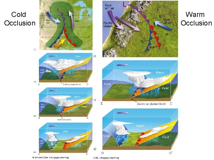 Cold Occlusion Warm Occlusion 