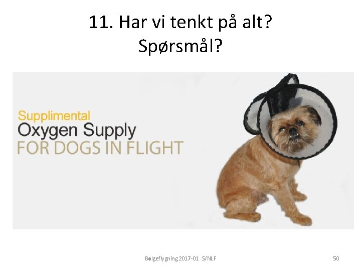 11. Har vi tenkt på alt? Spørsmål? Bølgeflygning 2017 -01 S/NLF 50 