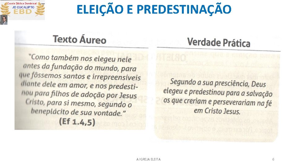 ELEIÇÃO E PREDESTINAÇÃO A IGREJA ELEITA 6 