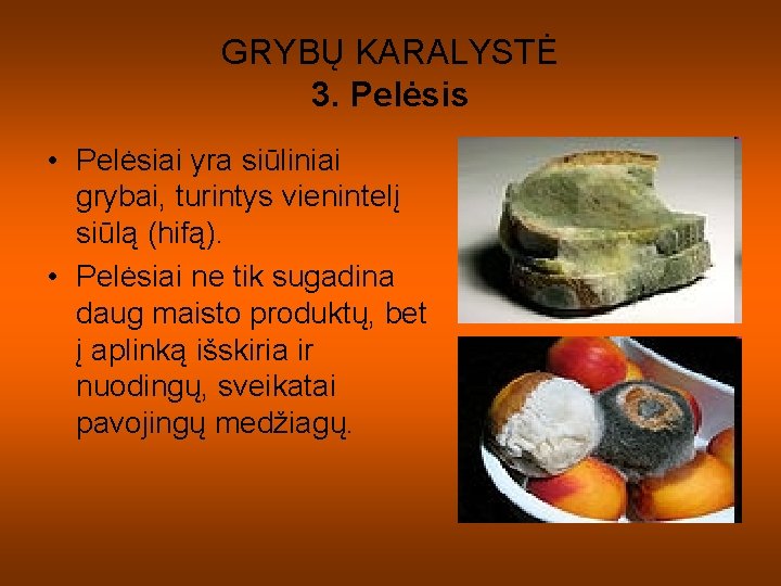 GRYBŲ KARALYSTĖ 3. Pelėsis • Pelėsiai yra siūliniai grybai, turintys vienintelį siūlą (hifą). • GRYBŲ KARALYSTĖ 3. Pelėsis • Pelėsiai yra siūliniai grybai, turintys vienintelį siūlą (hifą). •