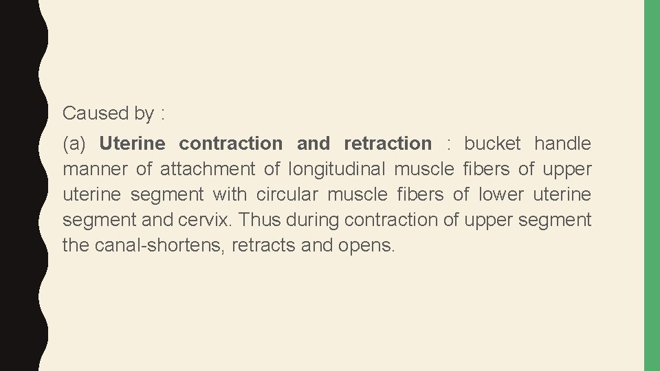 Caused by : (a) Uterine contraction and retraction : bucket handle manner of attachment
