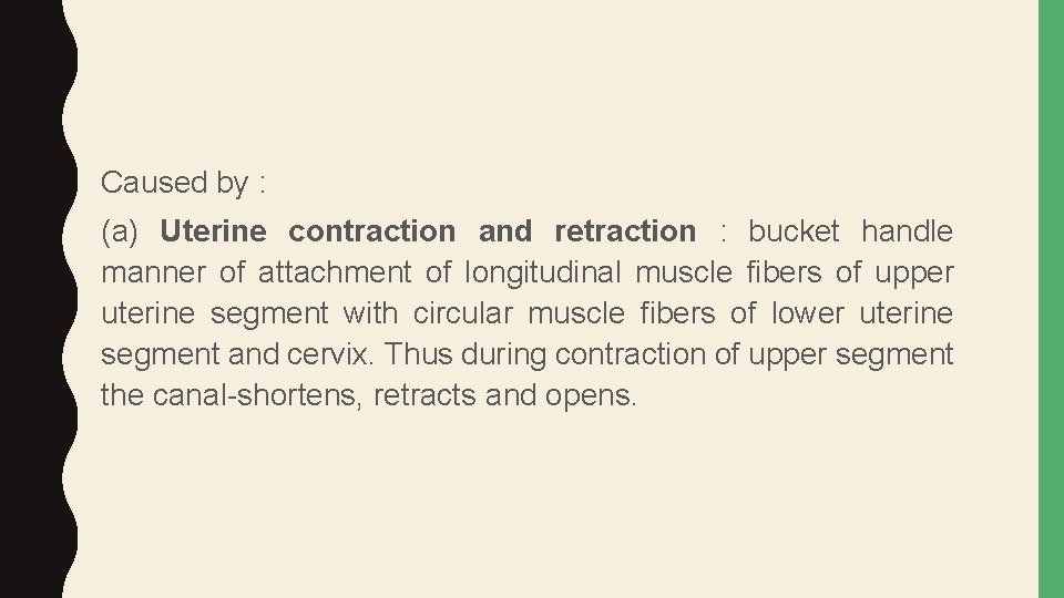 Caused by : (a) Uterine contraction and retraction : bucket handle manner of attachment