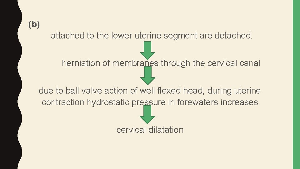 (b) attached to the lower uterine segment are detached. herniation of membranes through the