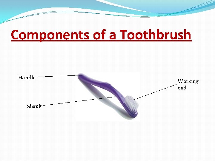Components of a Toothbrush Handle Shank Working end 