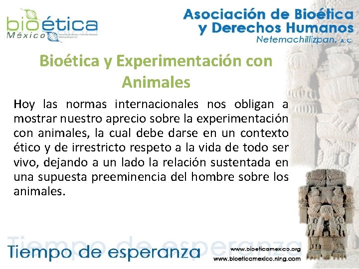 Bioética y Experimentación con Animales Hoy las normas internacionales nos obligan a mostrar nuestro