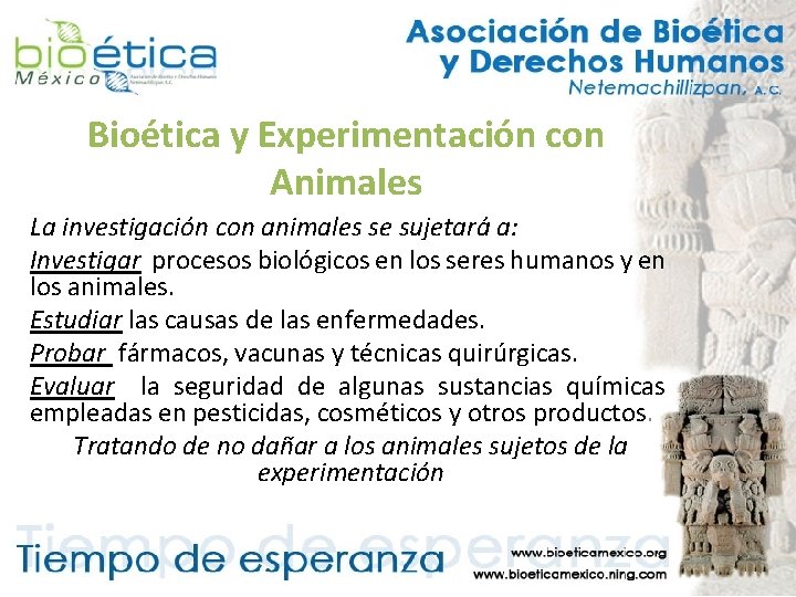 Bioética y Experimentación con Animales La investigación con animales se sujetará a: Investigar procesos