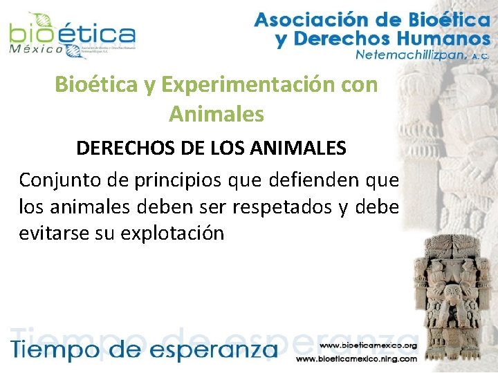 Bioética y Experimentación con Animales DERECHOS DE LOS ANIMALES Conjunto de principios que defienden