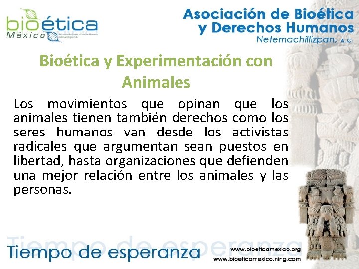 Bioética y Experimentación con Animales Los movimientos que opinan que los animales tienen también