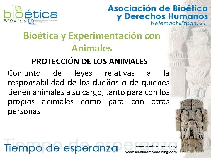 Bioética y Experimentación con Animales PROTECCIÓN DE LOS ANIMALES Conjunto de leyes relativas a