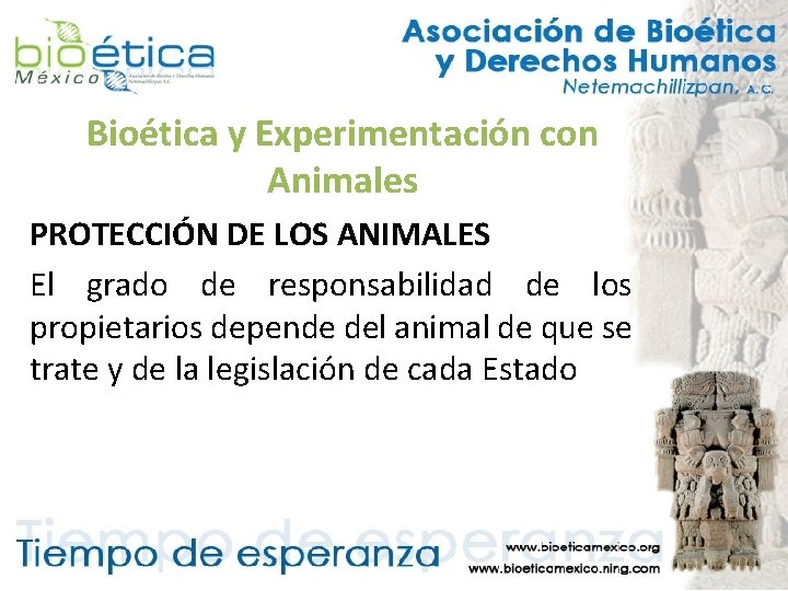 Bioética y Experimentación con Animales PROTECCIÓN DE LOS ANIMALES El grado de responsabilidad de